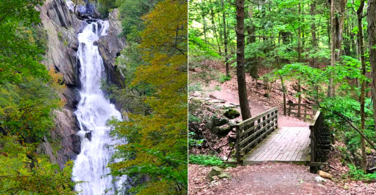 This Waterfall In New York Is The Tallest In Its County And It’s Absolutely Worth The Trip
