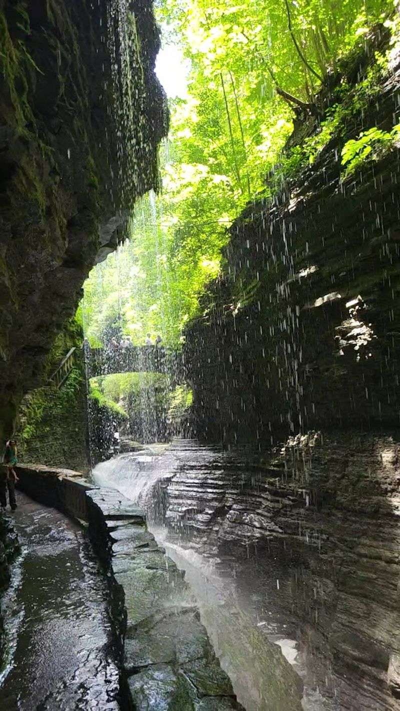 Rainbow Falls And The Gorge Trail That Leads You Right To It