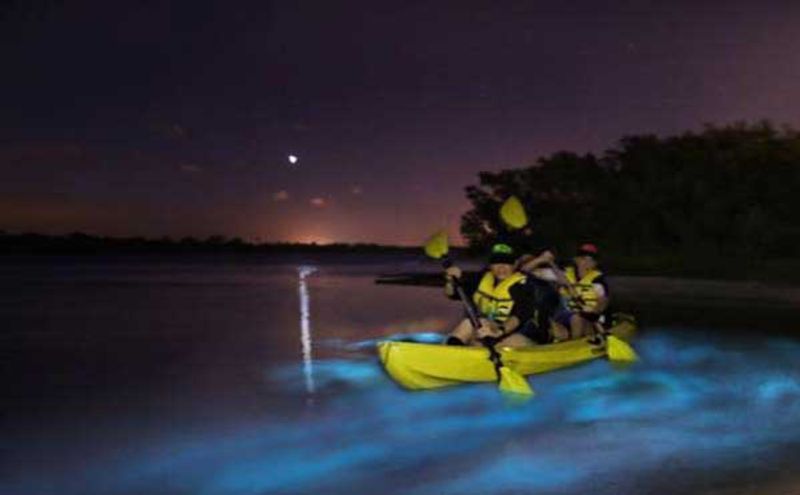 Kayaking After Dark Is One Of The Best Ways To See The Glow