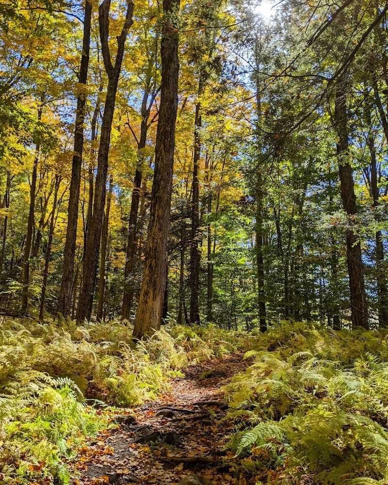 Fahnestock State Park Trails (Carmel, Putnam County)