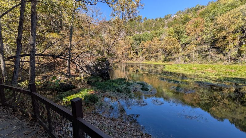Wildlife Watching Opportunities Across Woodlands And Wetlands