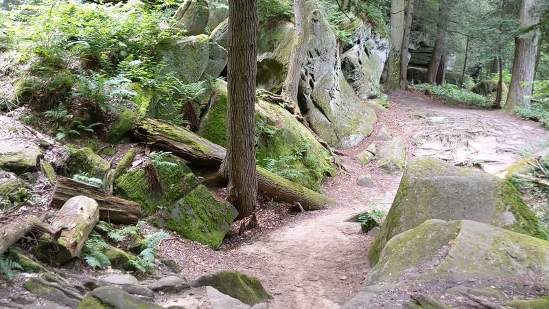 Cool, Shaded Paths That Make This Hike Pleasant In Summer
