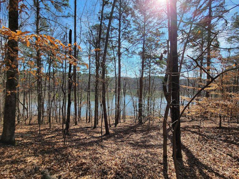 Camping Here Means Real Quiet And Actual Dark Skies