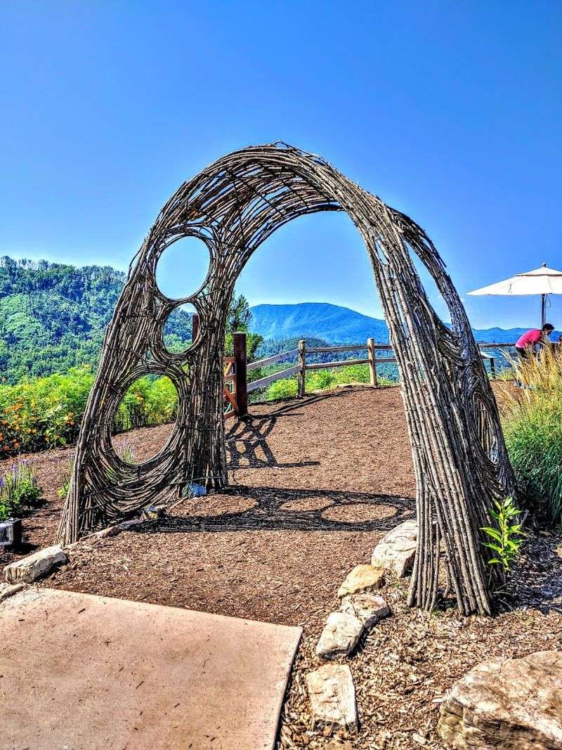 Zip Lining Through Mountain Air Above The Smoky Mountain Canopy