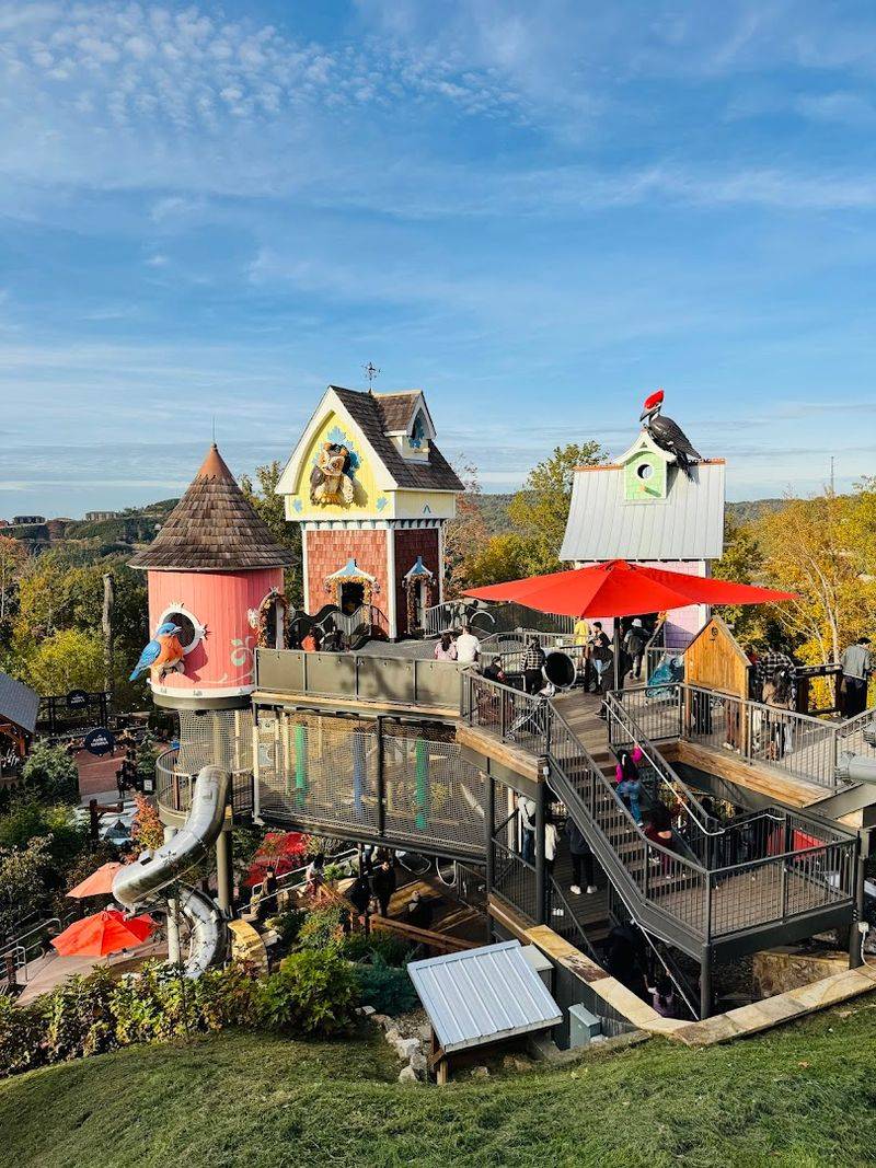 Mountain Coasters That Bring Out Your Inner Thrill Seeker