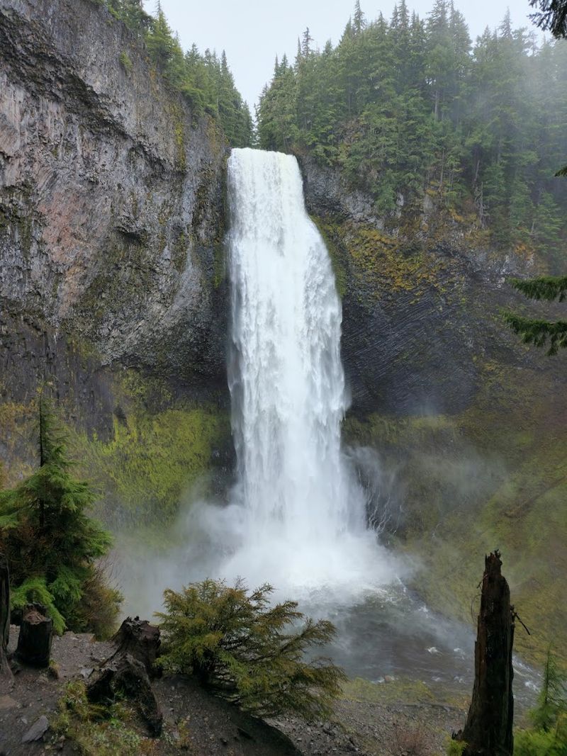 Salt Creek Falls