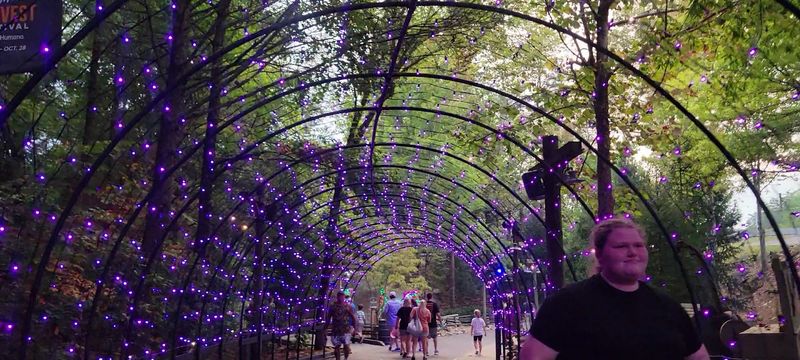 The Fairy Garden At Dollywood, Pigeon Forge