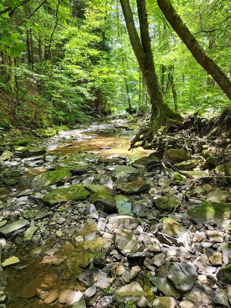 Trails That Range From Sunday Strolls To Serious Climbs