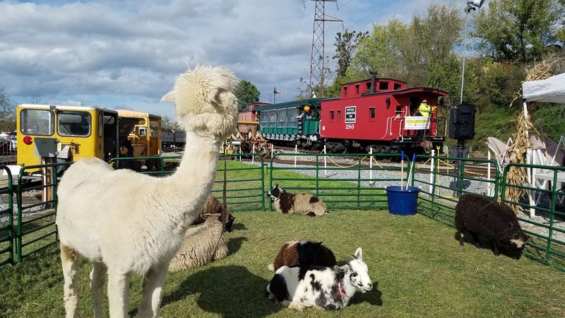 Seasonal Events That Transform The Museum Experience