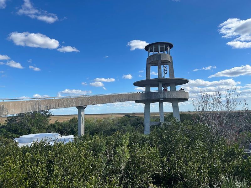 The Shark Valley Observation Tower Offers Sweeping Everglades Views