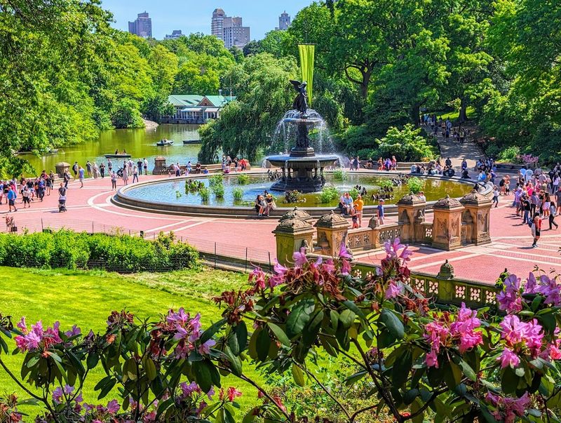 Central Park Day Out