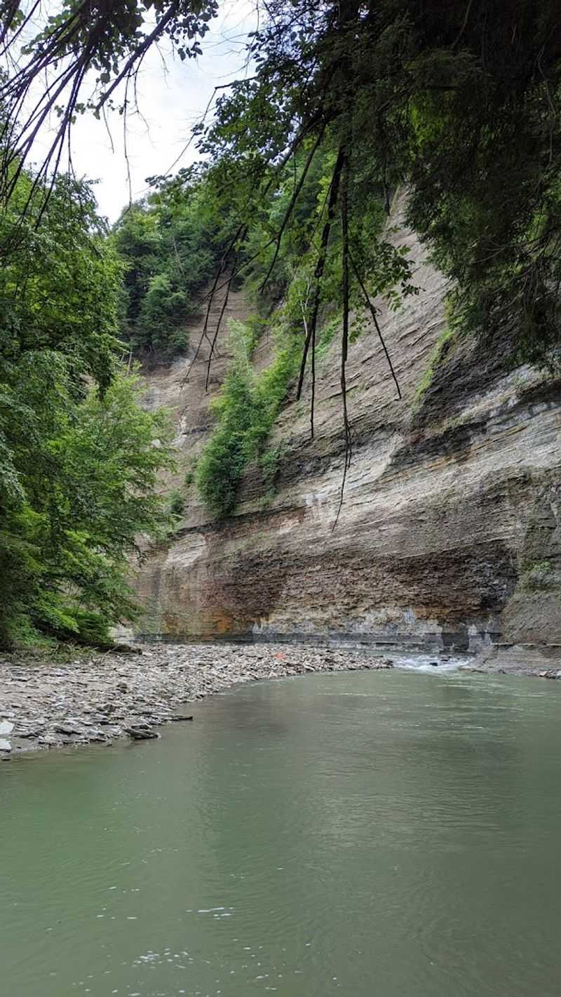 Explore Zoar Valley