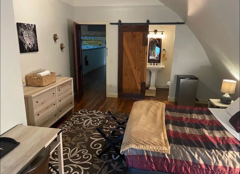 Animal-Themed Rooms That Make Every Night An Experience