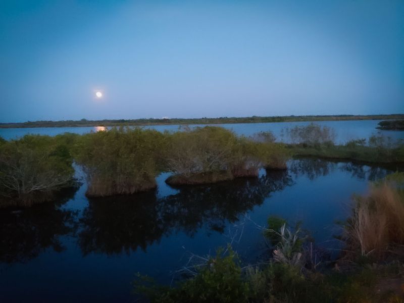 The Lagoon Is One Of The Most Biologically Diverse Estuaries In North America