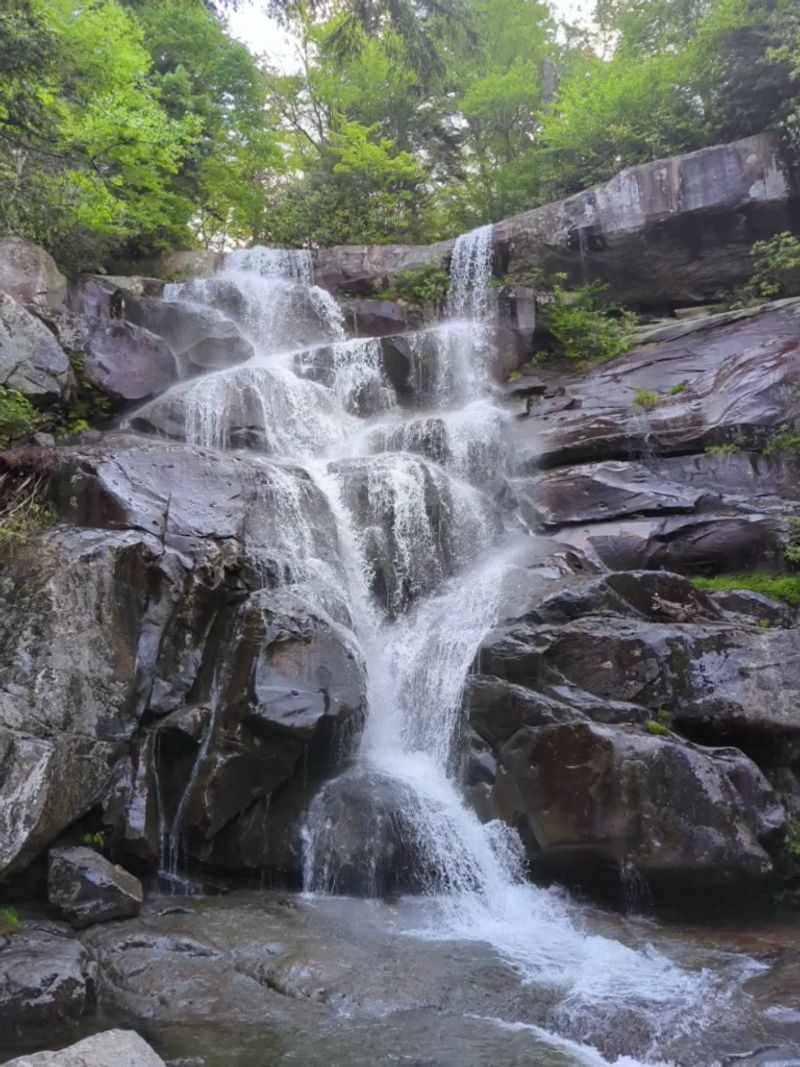 Ramsey Cascades Waterfall And Why It Stops You Cold