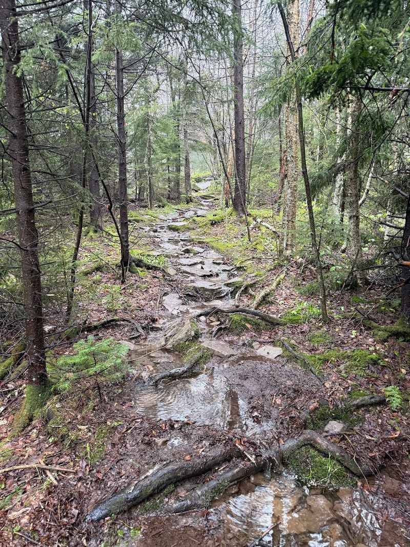 What To Pack Before You Dare This Trail