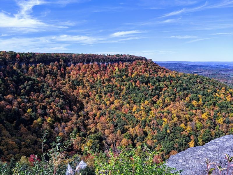 Thacher State Park (Voorheesville)