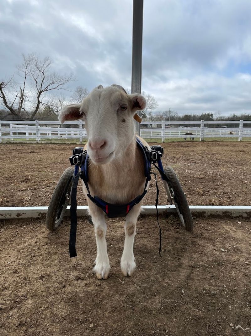 The Emotional Impact That Keeps Visitors Returning