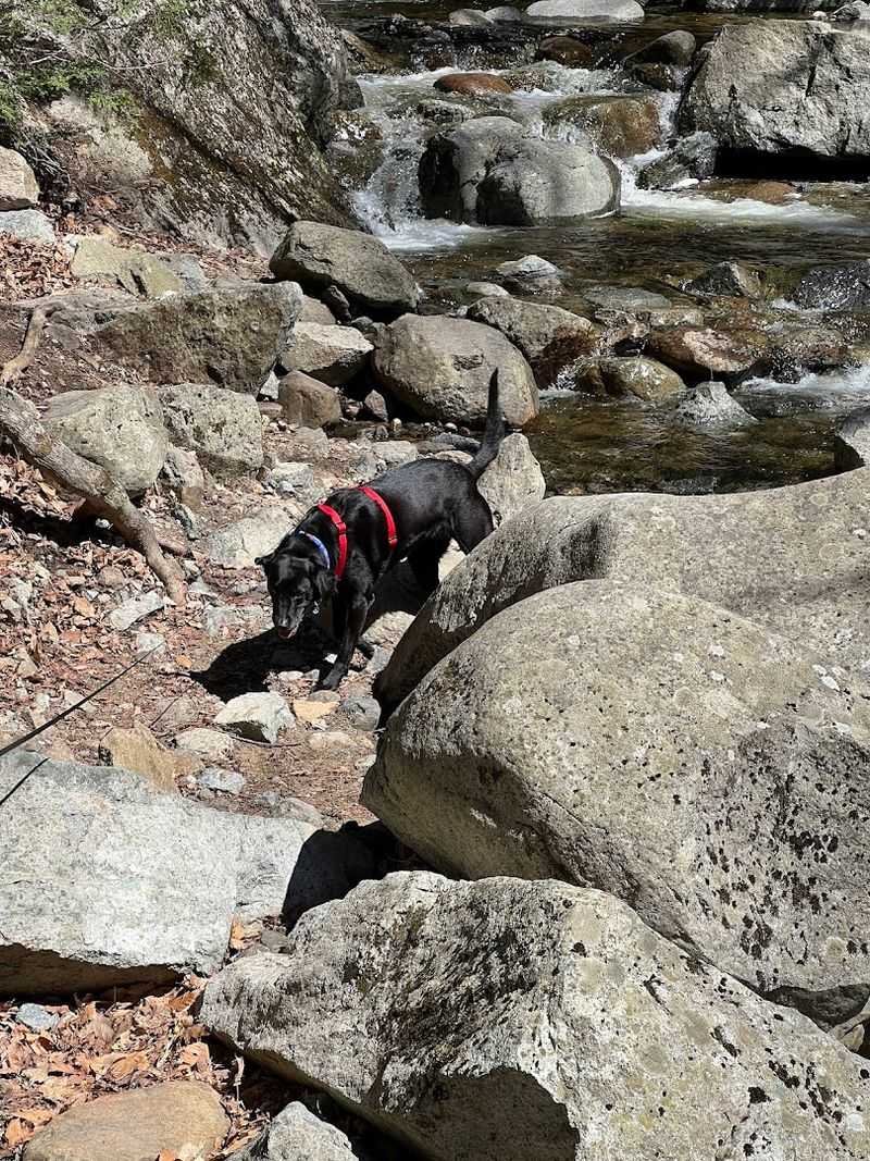 Accessibility And Who Can Enjoy This Destination