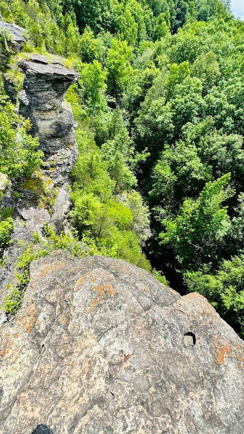 The Heights At The Top Will Either Thrill You Or Stop You Cold