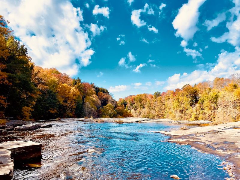 The Crowd Situation, Or Rather The Lack Of One