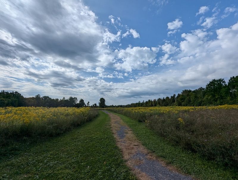 The Trails That Frame The Whole Experience