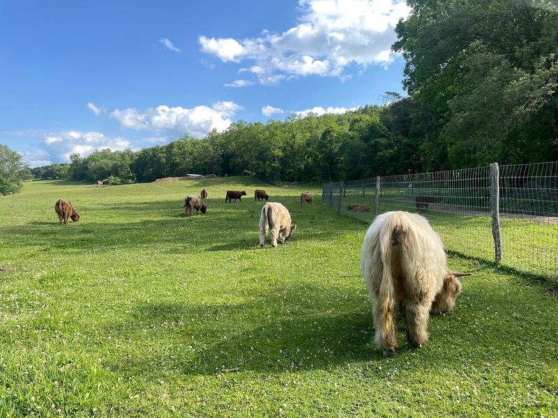 Planning Your Visit And Making The Most Of The Trip From The City