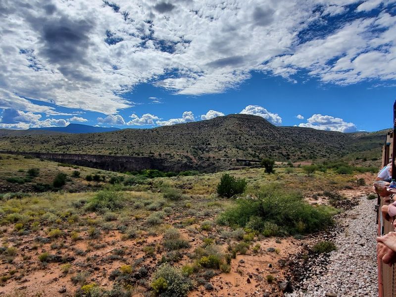The Thrill Of Riding Through Arizona's Wildlife