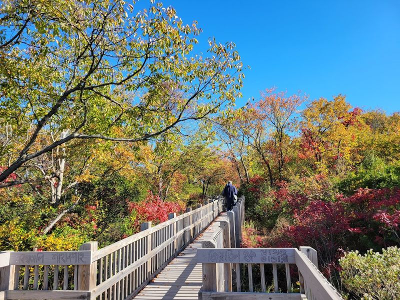 Why Jamaica Bay Wildlife Refuge Belongs On Every Nature Lover's List