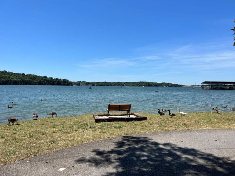 Outdoor Adventures That Go Beyond The Shoreline