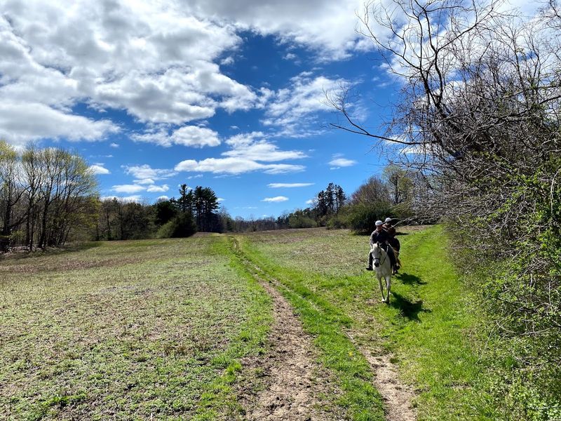 Horseback Riding On Long Island Shores