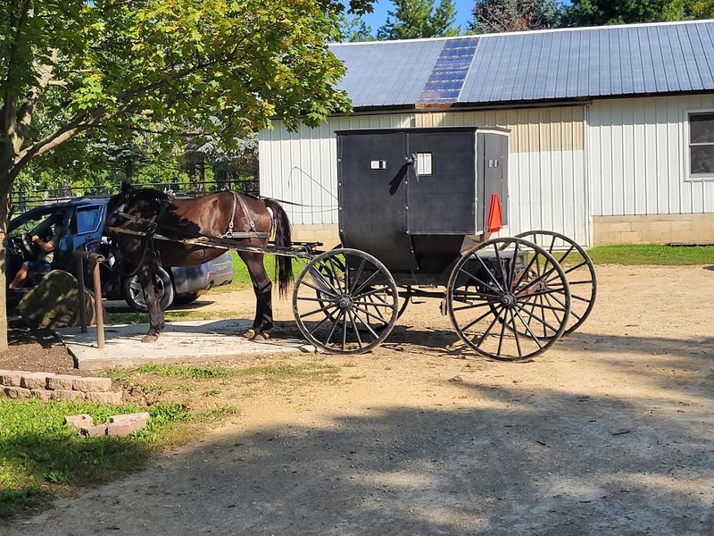 Located In The Heart Of Wisconsin Amish Country