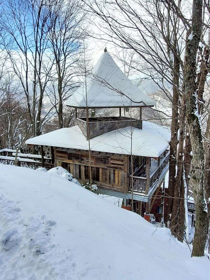 The Overgrown Main Street And Deserted Buildings