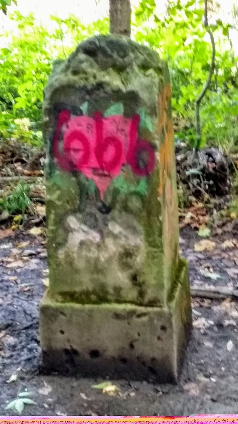 How Nightfall Changes Gore Orphanage Road