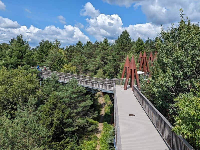 Accessibility Features That Make This Place Genuinely Inclusive