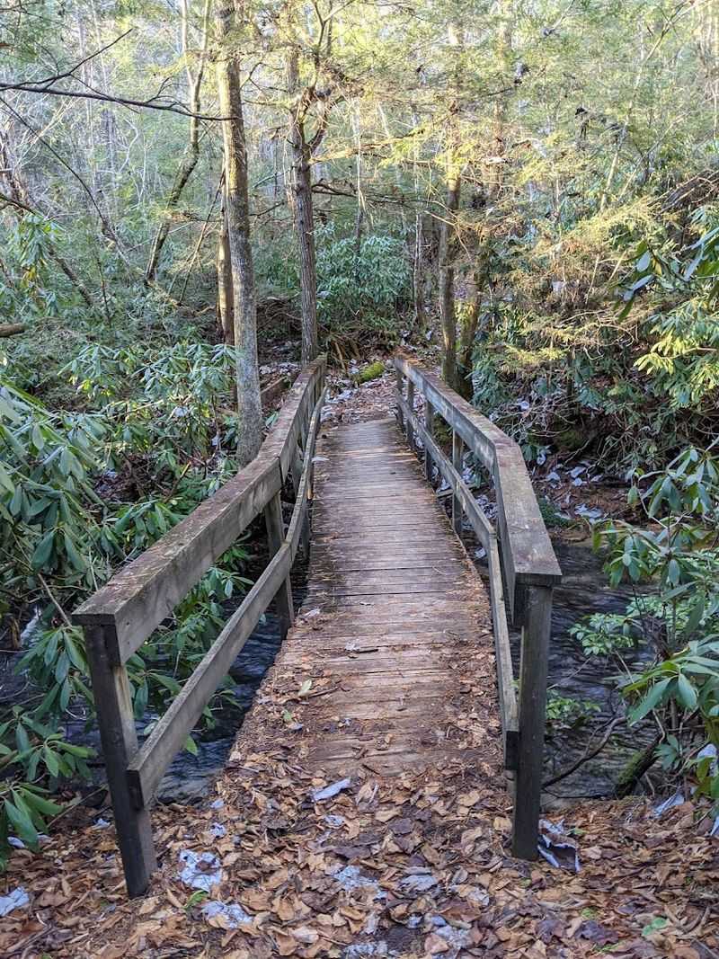 Trails For Every Ability Level And Every Season