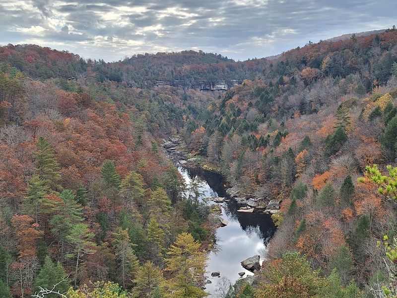 Planning Your Visit To Obed Wild And Scenic River