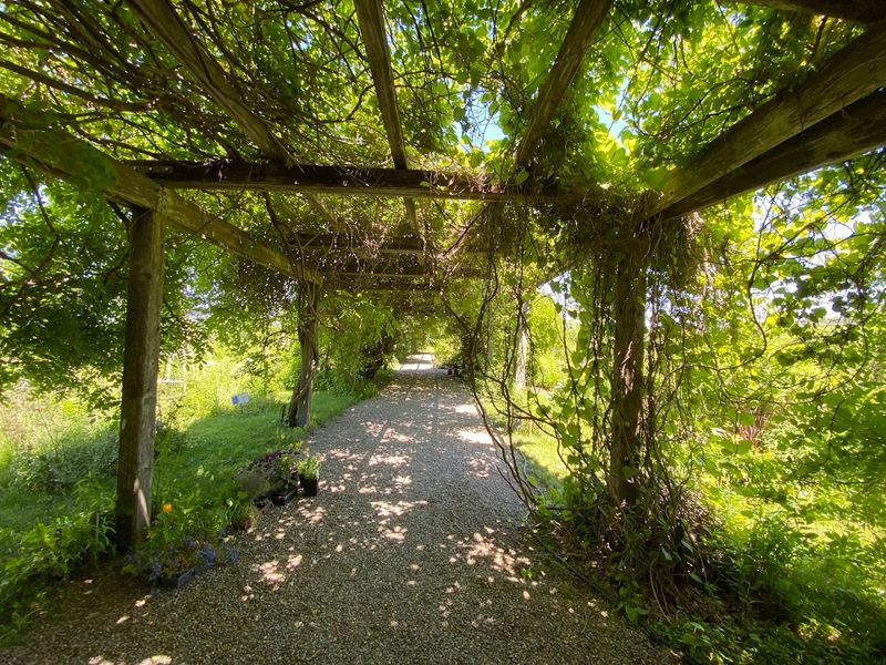 Planning Your Visit And Making The Most Of Every Hour At Stonecrop