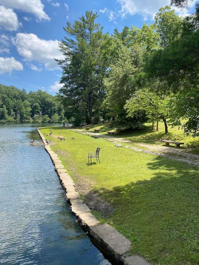 Camping Options That Range From Tent Sites To Full RV Hookups