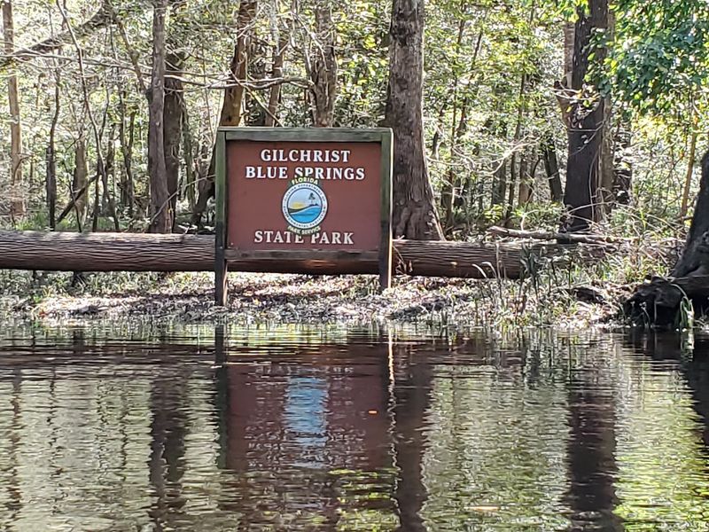 The History Of Gilchrist Blue Springs State Park