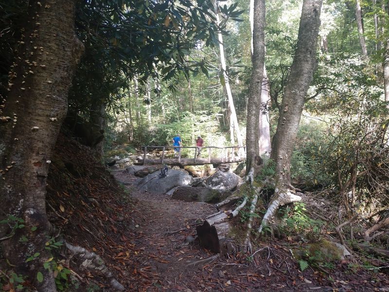 Getting To The Trailhead And What To Know Before You Go