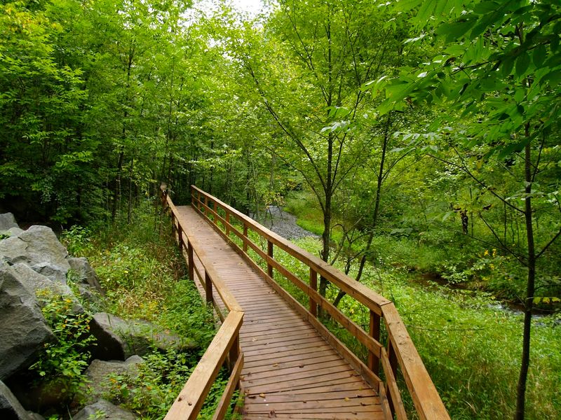 A Scenic Boardwalk That Makes The Walk Easy For Most Visitors