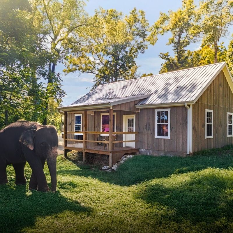 Why Wilstem Ranch Is Perfect For Families