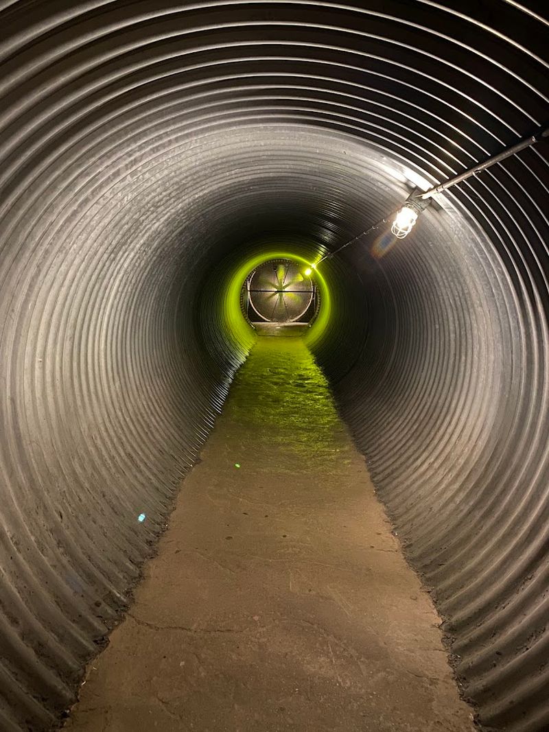 Spy-Themed Exhibits That Feel Straight Out Of A Secret Mission