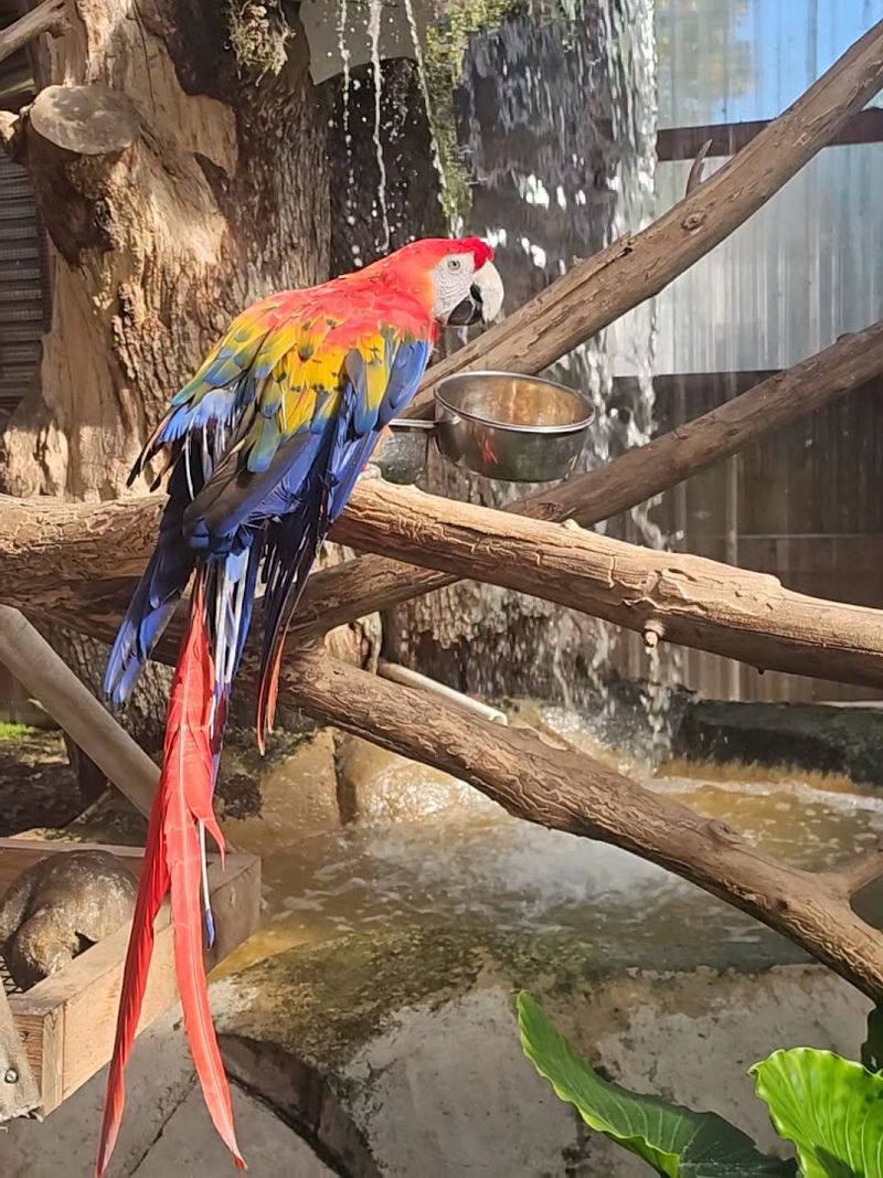 The Walk-Through Zoo Section Deserves Its Own Afternoon