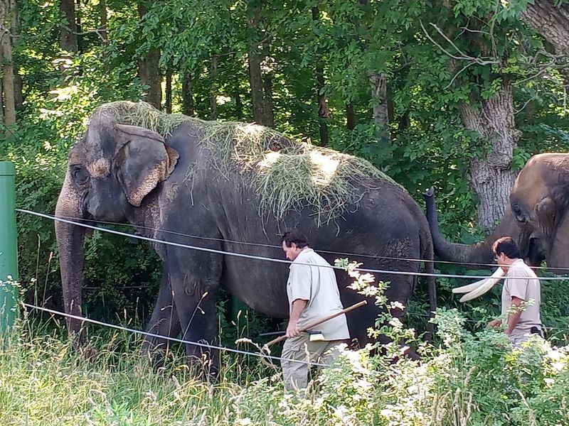 Wilstem Ranch: A 1,100-Acre Adventure