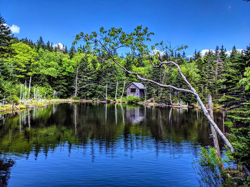 Mount Greylock State Reservation, Lanesborough