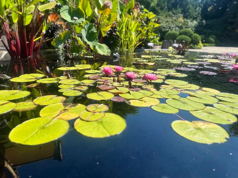 Olbrich Botanical Gardens (Madison)
