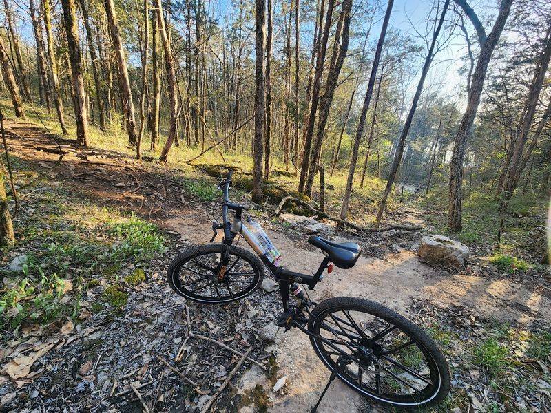 Jones Mill Mountain Bike Trail, Mt. Juliet