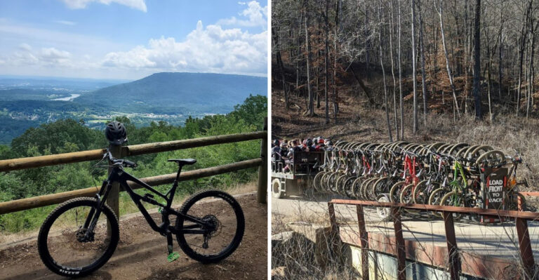 10 Bike Trails Across Tennessee That Transform A Spring Day Into Something Special